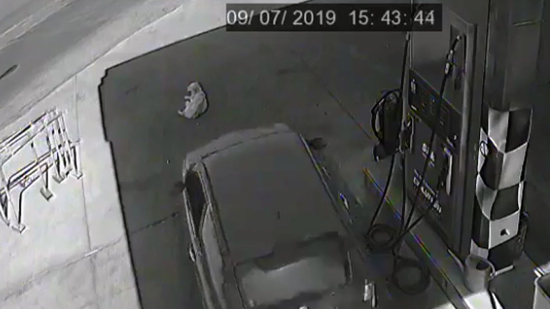 Χανιά: Αυτοκίνητο χτύπησε και σκότωσε σκύλο σε βενζινάδικο