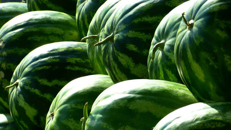 Δεσμεύτηκαν 11,4 τόνοι καρπούζια στον Πειραιά