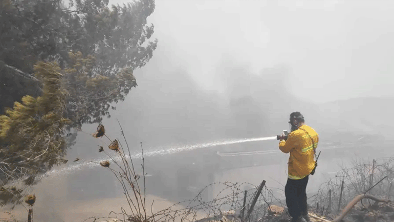 Ρεκόρ ζέστης στο Ισραήλ: Στους 49,9 βαθμούς η θερμοκρασία – Δεκάδες πυρκαγιές