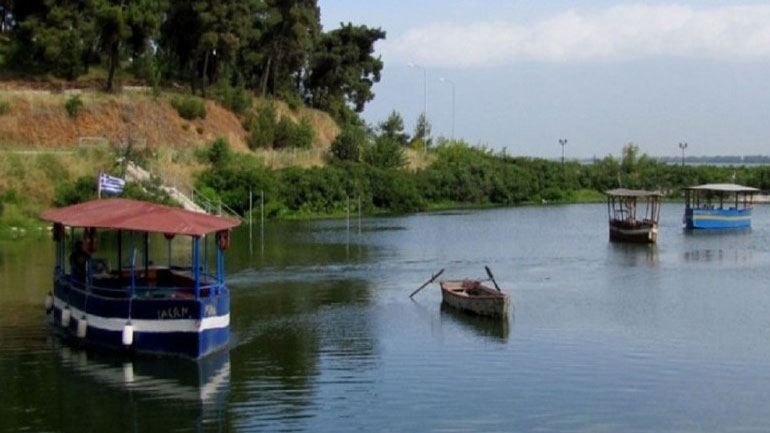 Θεσσαλονίκη: Νεαροί εθελοντές καθαρίζουν τη λίμνη Κερκίνη