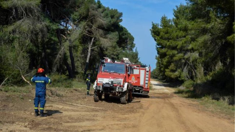Φύλακας πρόλαβε… εμπρηστές στην Εύβοια