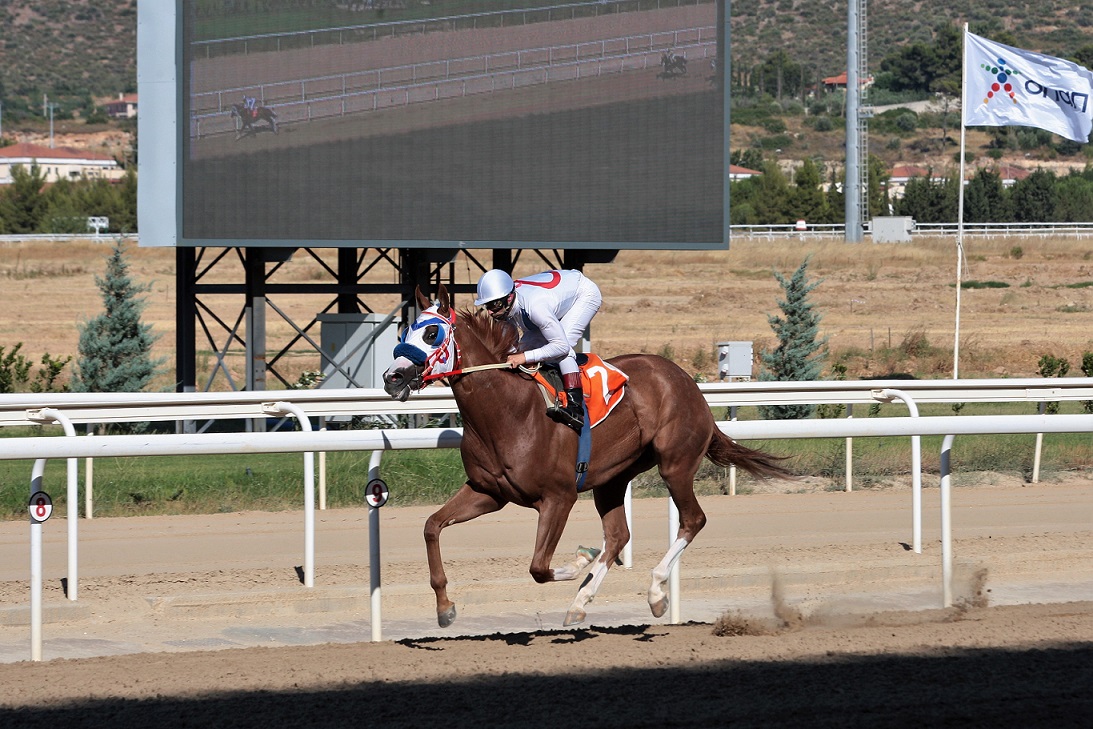 Ο ΠΕΡΠΛ ΧΑΡΤ κατακτά το Κύπελλο Τζόκεϋ Αρτεμισίου