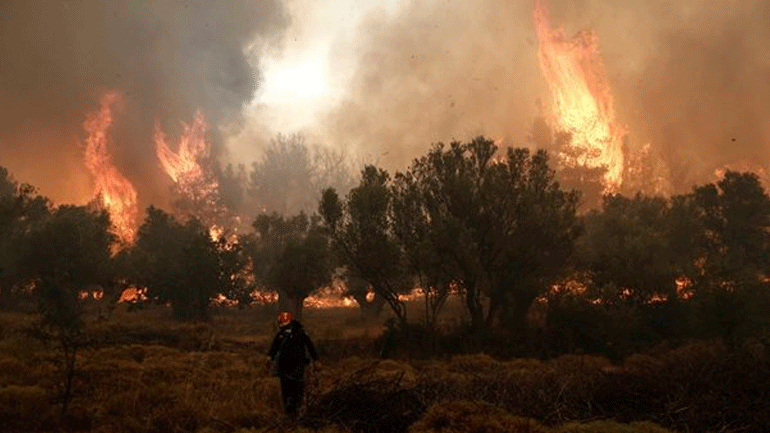 Υπό πλήρη έλεγχο η πυρκαγιά σε δασική έκταση στην Ξάνθη