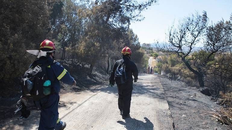 Συνελήφθη 64χρονος για την πυρκαγιά στα Μέγαρα
