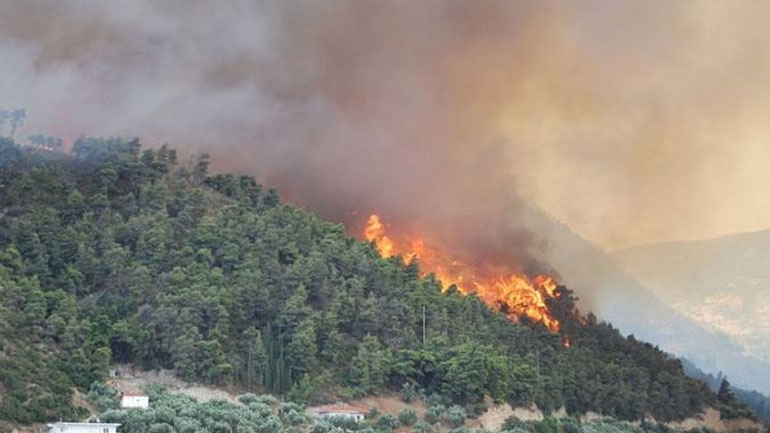 Σε εξέλιξη πυρκαγιά στη Μεγαλόπολη
