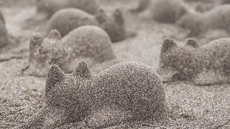 Γάτες από άμμο στην παραλία