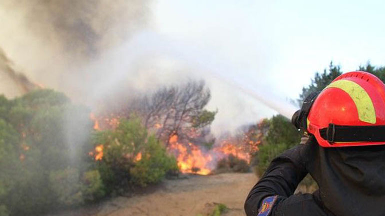 Τρίπολη: Πυρκαγιά σε δασική έκταση στην Αρκαδία
