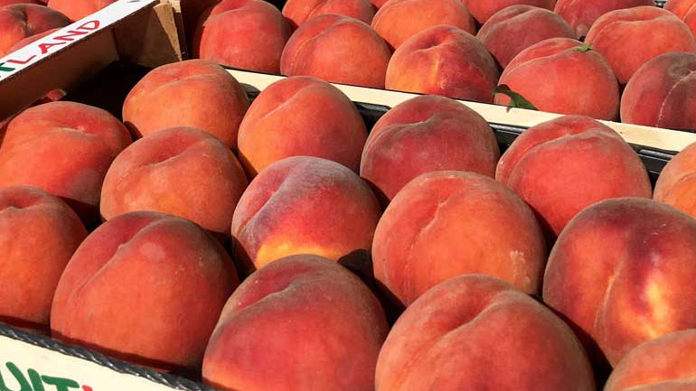 Δεσμεύτηκαν 694 κιλά ροδάκινα στον Πειραιά