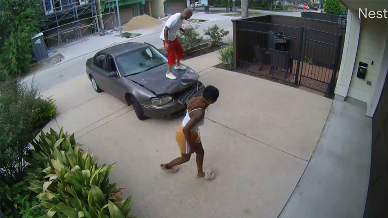 Ούτε γάτα ούτε ζημιά