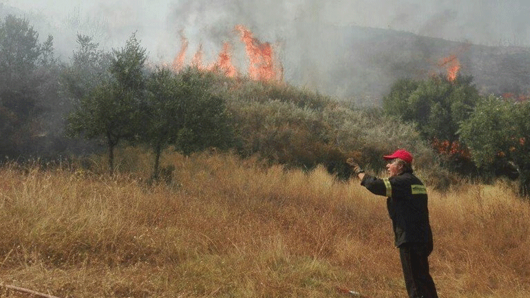 Ζάκυνθος: Πυρκαγιά σε δασική έκταση στο χωριό Αργάσι
