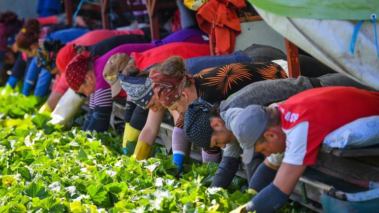 «Μεγάλη έξοδος» εργατικού δυναμικού από Ελλάδα, Ρουμανία, Βουλγαρία