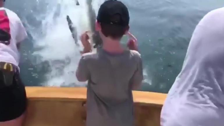 Καρχαρίας πηδάει σε σκάφος