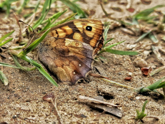 InFocus Awards 2019. Author: Şenol Ceylan