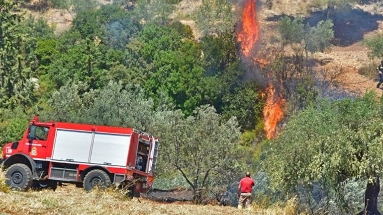 Ηράκλειο: Φωτιά στην Αγία Βάρβαρα του Δήμου Γόρτυνας