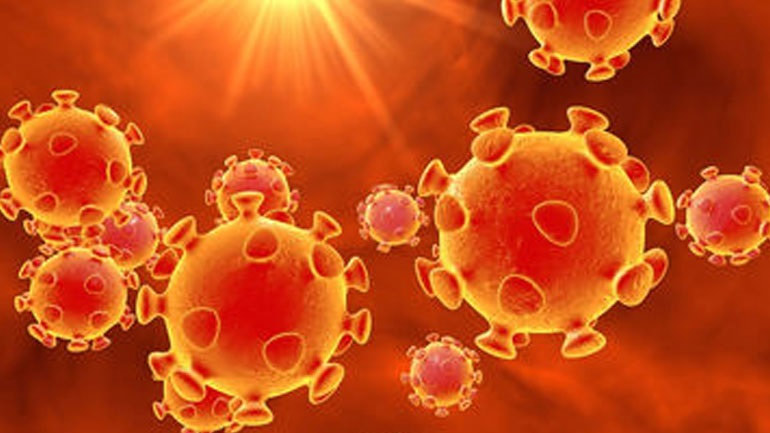 Μόσχευμα για την πρόληψη του AIDS ενισχύει την καταπολέμηση της νόσου