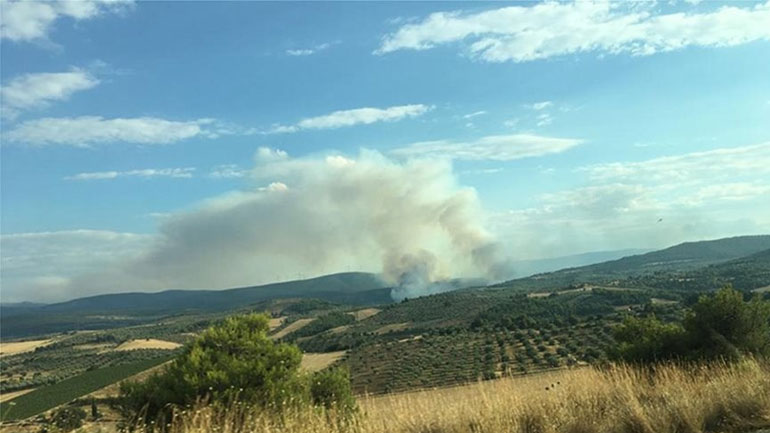 Σε ύφεση η πυρκαγιά στην Τανάγρα