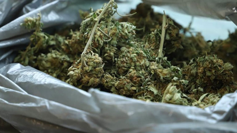 Τρίκαλα: Κατασχέθηκε περισσότερο από ένα κιλό κάνναβη που βρέθηκε σε σπίτι 33χρονου