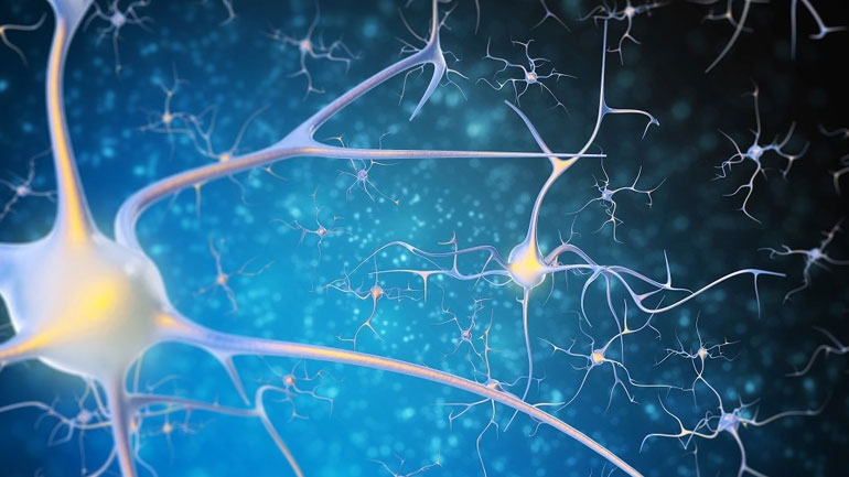 Κοινά γονίδια χαρακτηρίζουν πέντε ψυχιατρικές διαταραχές