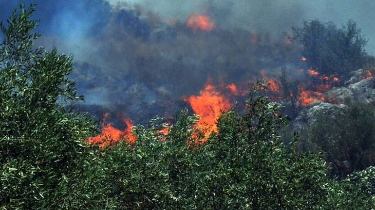 Καίγεται δάσος στο Μαρτίνο Φθιώτιδας Καίγεται δάσος στο Μαρτίνο Φθιώτιδας