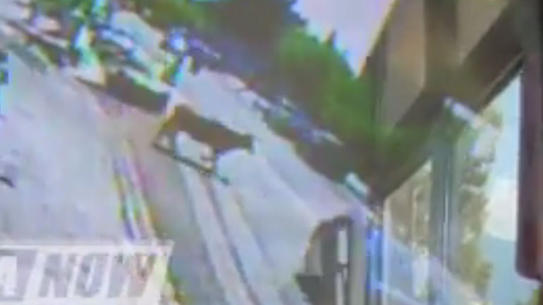 Λαμία: Ένας ταύρος προκάλεσε πανικό στην αστυνομία!