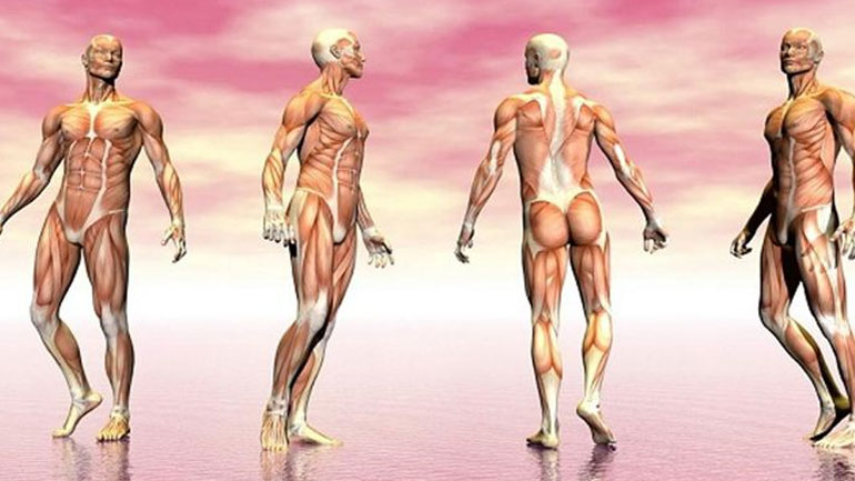 Δέκα παράξενες αλήθειες για το ανθρώπινο σώμα