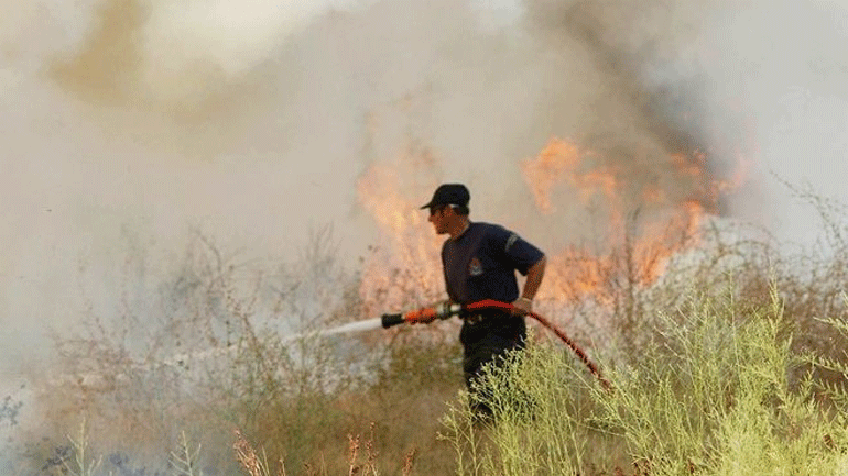 Κρήτη: Υπό έλεγχο η φωτιά στο Καραβάδο