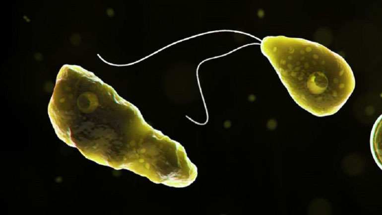 ΗΠΑ: Κολυμβητής πέθανε από αμοιβάδα που «τρώει» τον εγκέφαλο