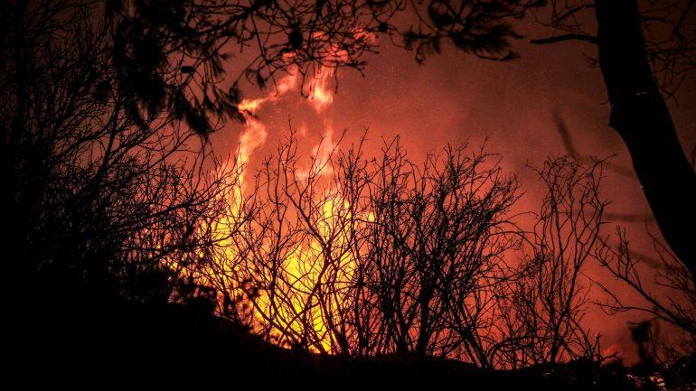 Υπό έλεγχο η πυρκαγιά στο Τεφέλι Κρήτης