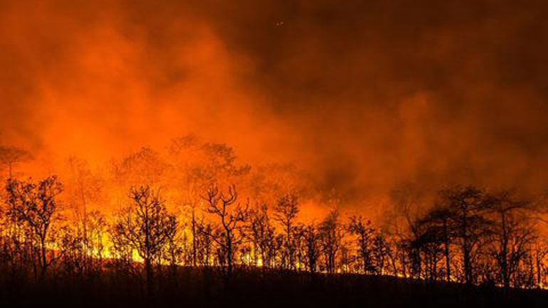 Κροατία: «Μάχη» για να περιοριστεί πυρκαγιά κοντά στην πόλη Σίμπενικ