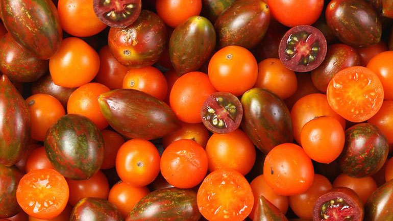 Κατασχέθηκαν ντοματίνια με υπολείμματα φυτοφαρμάκων