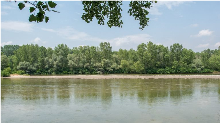 Πτώμα νεαρού βρέθηκε σε αγροτική περιοχή του Έβρου