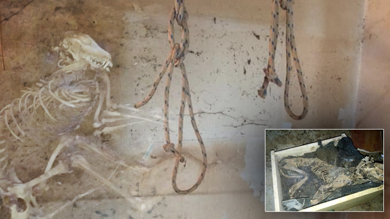 Φρίκη στο Μοσχάτο