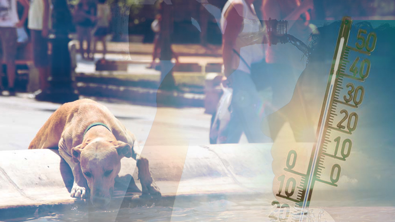 Καμίνι η χώρα