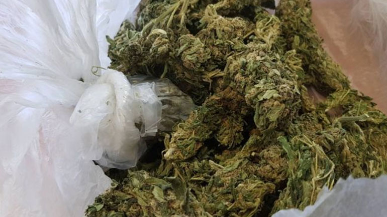 Ιωάννινα: Κατασχέθηκαν περίπου 95 κιλά ακατέργαστη κάνναβη