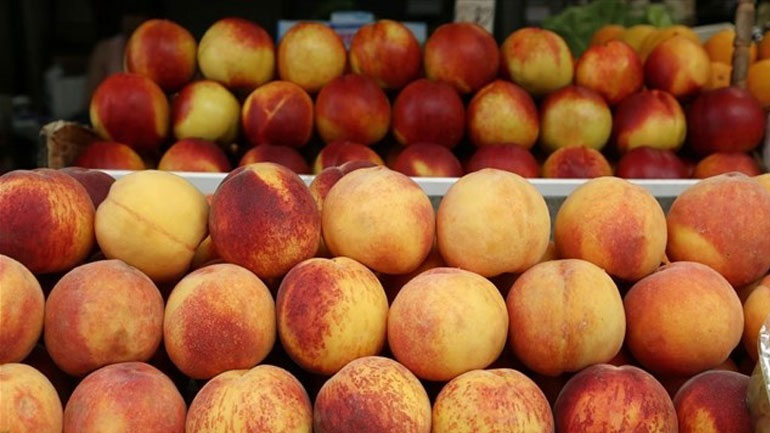 Δέσμευση 1.557 κιλών φρούτων στον Πειραιά