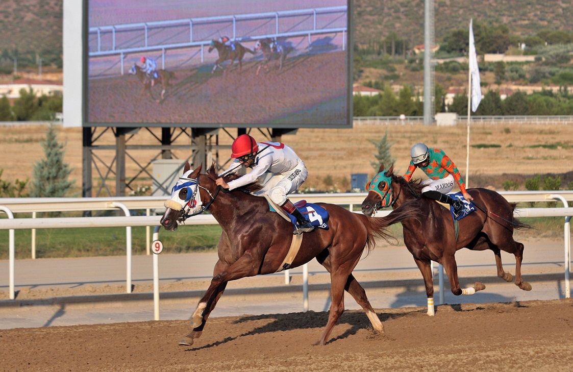 Το θέαμα είναι εντυπωσιακό κάθε Κυριακή στο Markopoulo Park