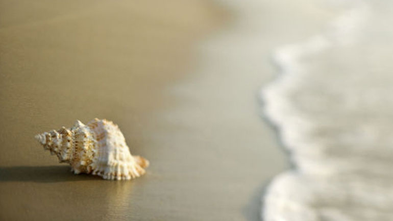 Μηνιαίες προβλέψεις Αριθμολογίας για τον Αύγουστο 2019