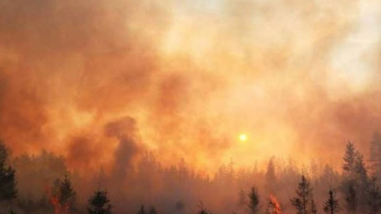 Συνεχίζονται οι προσπάθειες κατάσβεσης των δασικών πυρκαγιών στη ρωσική Άπω Ανατολή και στη Σιβηρία