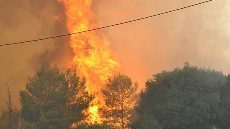Σε ύφεση η φωτιά στον Διόνυσο Αττικής