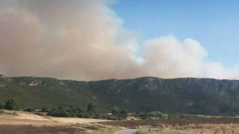 Υπό έλεγχο η φωτιά στην Τιθορέα – Εκδηλώθηκε ταυτόχρονα σε πέντε σημεία