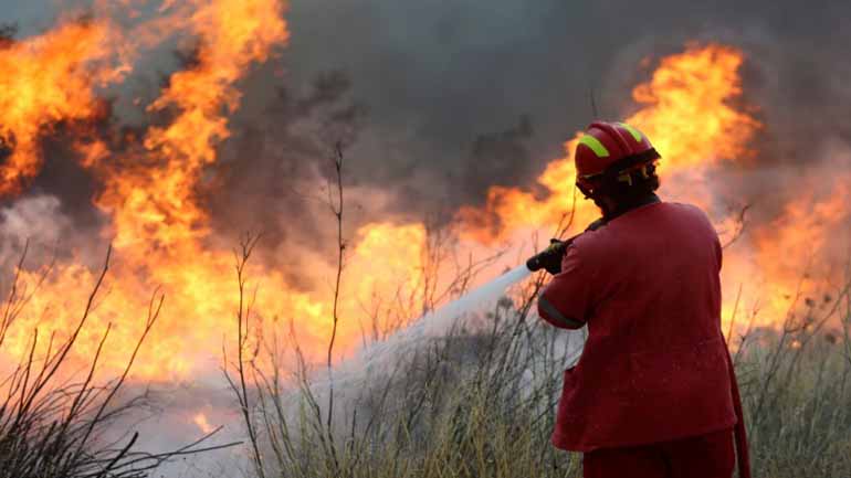 Πύργος: Υπό μερικό έλεγχο οι φωτιές στον Λούβρο και στο Ανεμοχώρι