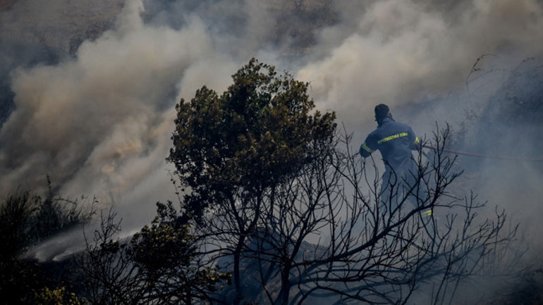 Υπό μερικό έλεγχο η πυρκαγιά στην περιοχή των Φαρσάλων