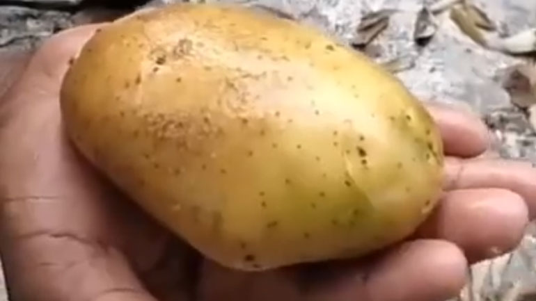 Πώς να κόψεις γρήγορα τις πατάτες πριν τις τηγανίσεις