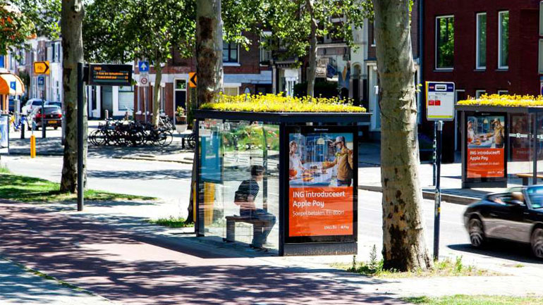 «Φιλόξενες» για τις μέλισσες οι στάσεις λεωφορείων στην Ολλανδία