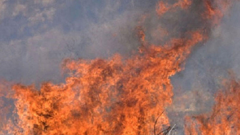 Εθνικό Αστεροσκοπείο Αθηνών: Ήπιο το πρώτο μισό της φετινής αντιπυρικής περιόδου