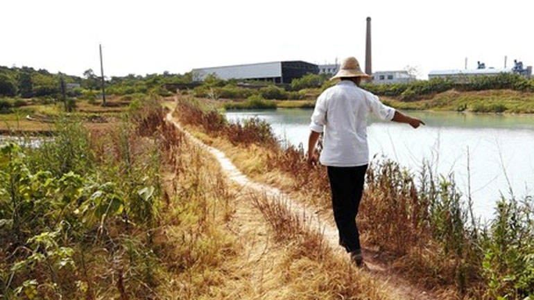 Κίνα: Κατά 4,8 φορές αυξήθηκε η αγροτική παραγωγή τα τελευταία 70 χρόνια