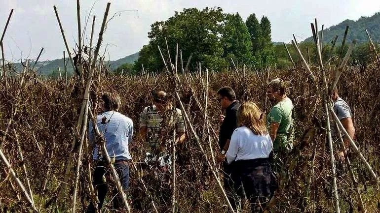 Άμεσα μέτρα για τη φασολοπαραγωγή ζητούν οι αγρότες της Πρέσπας