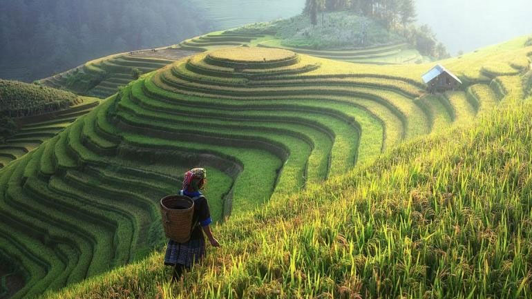 Κατά 40 φορές αυξήθηκε το κατά κεφαλήν εισόδημα στην Κίνα στις αγροτικές περιοχές