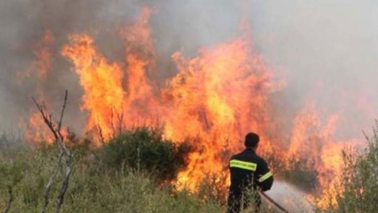 Πάτρα: Φωτιά σε δασική έκταση στην Κάτω Δροσιά του δήμου Ερυμάνθου