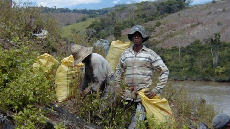 Σε κίνδυνο εκατοντάδες χιλιάδες άμαχοι στην Κολομβία λόγω ενόπλων οργανώσεων